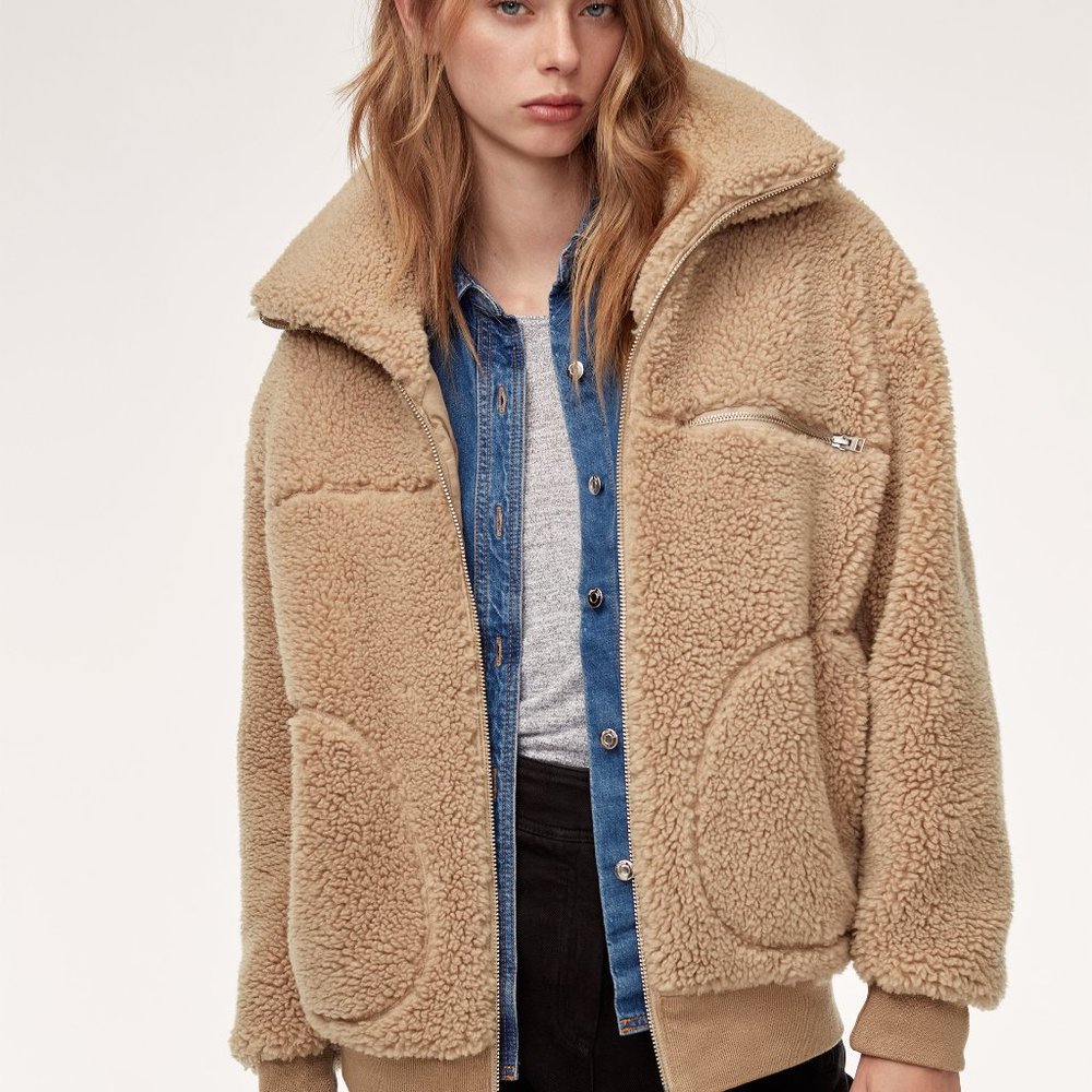Wilfred Free Teddy Coat - XS (Aritzia) - Picture 5 of 5
